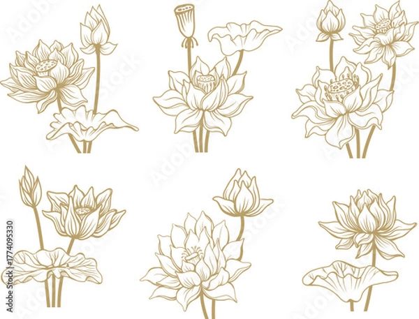 Fototapeta Lotus Flower Symbol Vector Set in Delicate Line Art Style