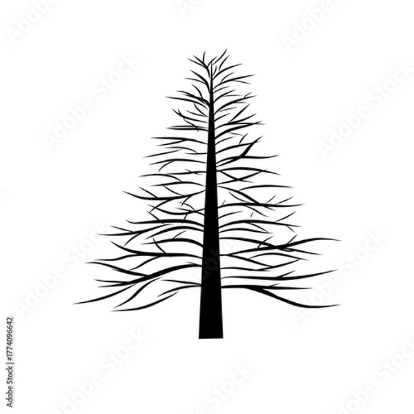 Fototapeta Pine tree outline. Forest nature symbol. Linear plant vector. Black drawing element.