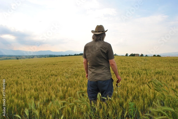 Fototapeta Man with hat standing in a wheat field; back view; people and nature concept.