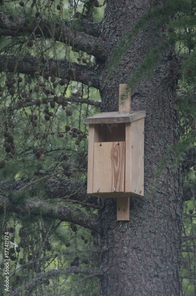 Fototapeta Birdhouse in forest
