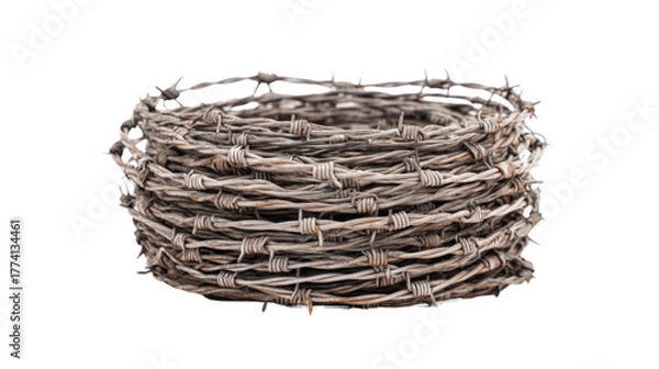 Obraz Barbed wire roll used in military zones, coiled tightly, isolated on a Transparent background, PNG file.