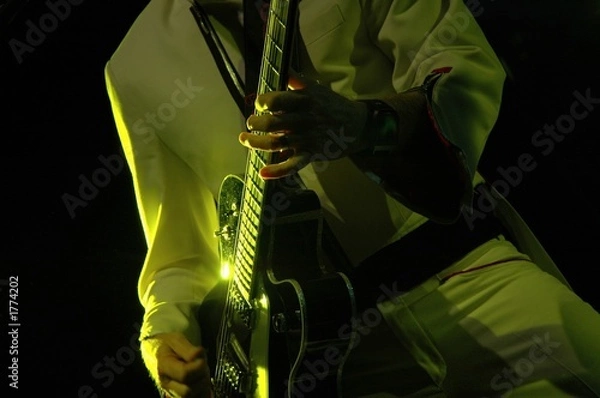 Obraz guitariste sur scene