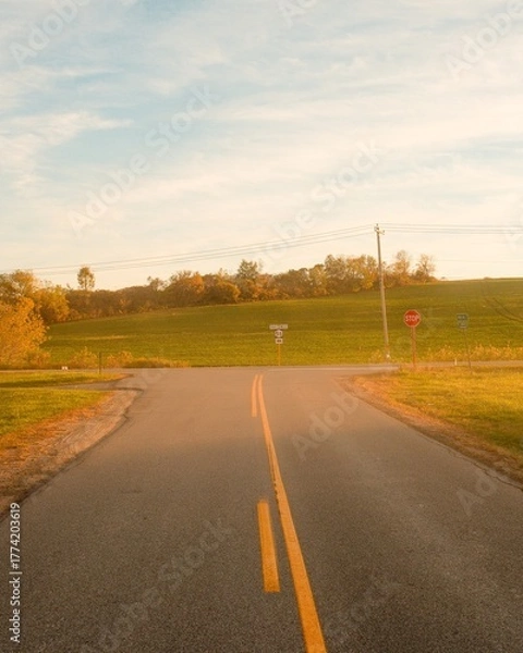 Obraz A country road outside Fort Plain, New York