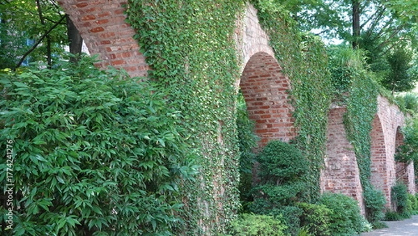Obraz レンガの壁を這う蔦