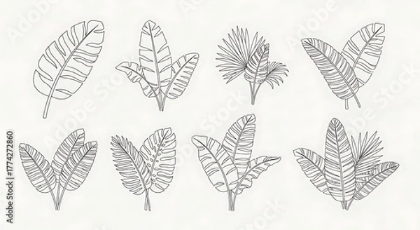 Obraz Tropical Leaves Line Art Collection - Botanical Illustrations for Design.