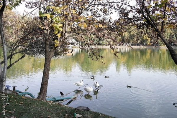 Obraz ウズベキスタン　首都タシケント