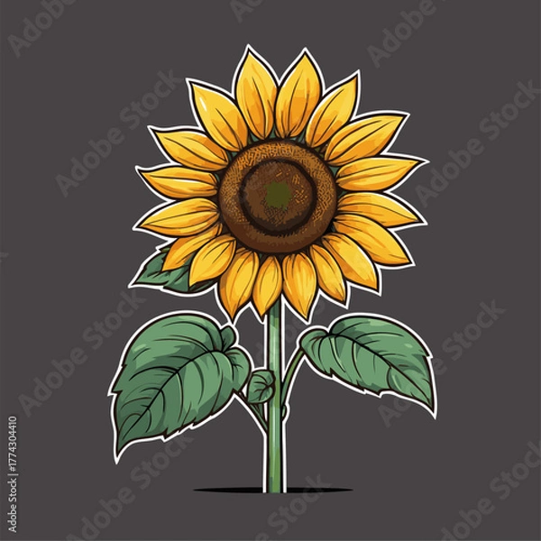 Fototapeta vector image of a graceful sunflower