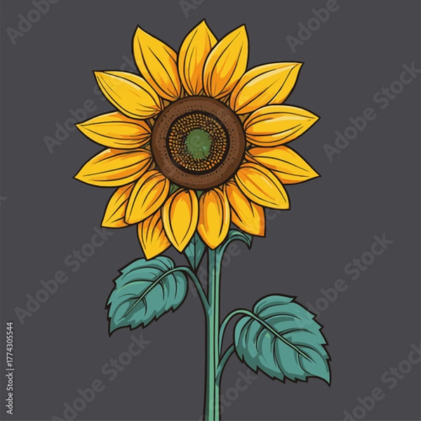 Fototapeta vector image of a graceful sunflower