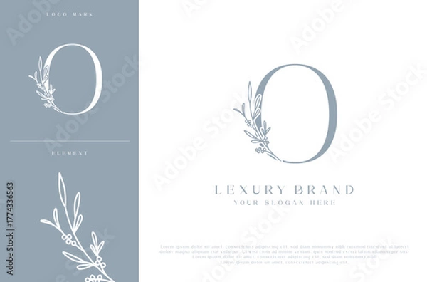 Fototapeta O botanical monogram initial letters logo