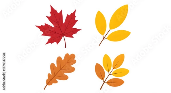 Obraz Collection of four autumn leaves in different shapes and colors, isolated on transparent background