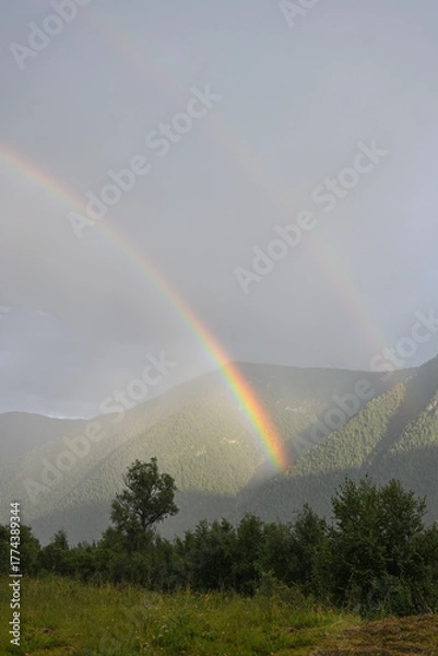 Fototapeta A picturesque double rainbow over the forest