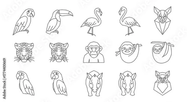 Obraz Outlined illustrations of various animals including birds, mammals, and primates.