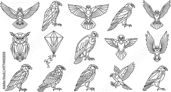 Obraz Collection of stylized line art illustrations depicting various birds of prey.