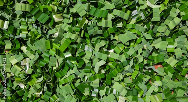 Fototapeta Pandanus leaves cut into pieces and dried in the sun