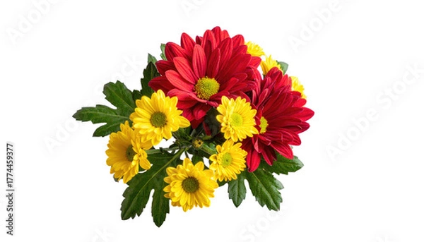 Fototapeta Vibrant red and yellow daisy bouquet, centered on black background with green leaves interweaving flowers