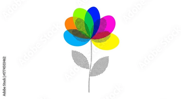 Fototapeta Colorful Flower With Gray Leaves On White Background.