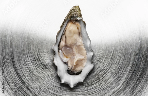 Obraz Oyster over metal background, macro shot of open one fresh french Fine de Claire oyster. Gourmet food. Seafood. Macro shot. Top view. 