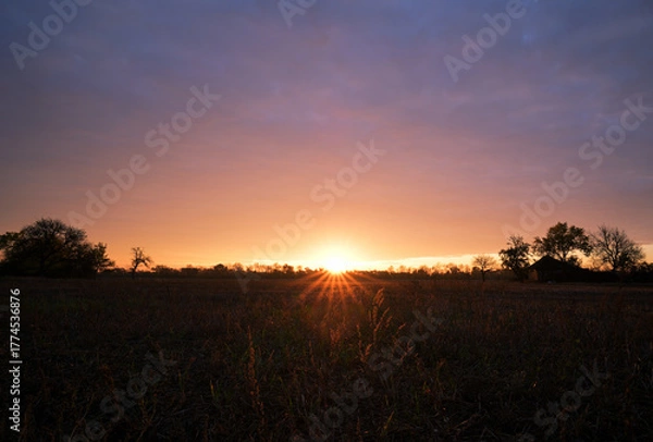 Obraz Golden sunset over rural field with glowing sun rays and dramatic cloudy sky