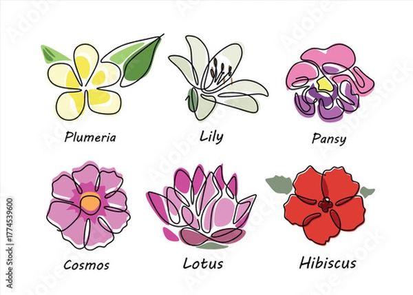 Fototapeta Elegant Continuous Line Art Flower Collection. line icon-continuous line drawing. Editable stroke.