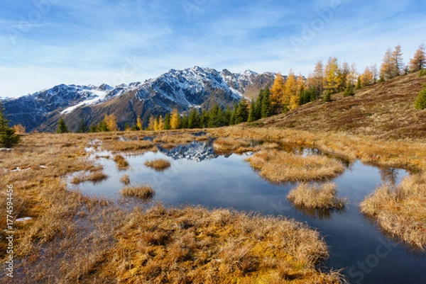 Fototapeta kleiner Bergsee in einem Meer aus herbstlichen Lärchen und verschneitem Berg im Hintergrund