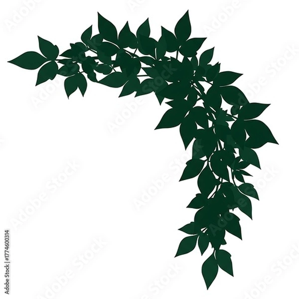 Obraz Dark Green Vine Leaf Corner Border Vector Illustration