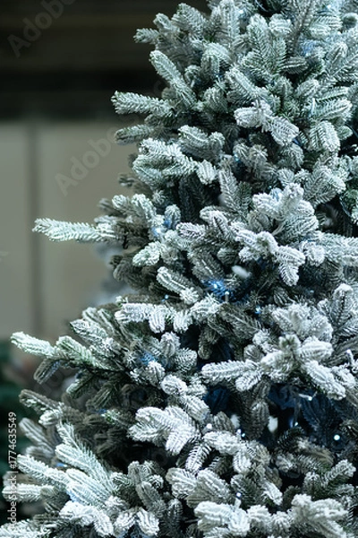 Obraz Snow-covered Christmas tree branches with soft lights