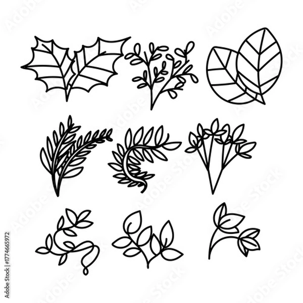 Fototapeta leaf and plant illustration collection set in doodle hand drawn style 