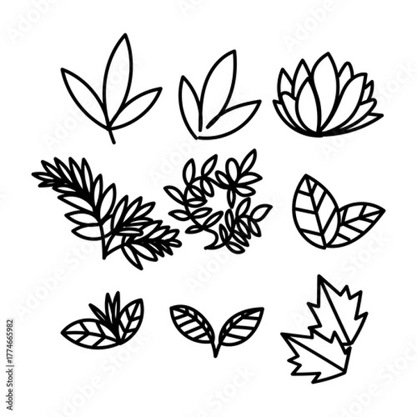 Fototapeta leaf and plant illustration collection set in doodle hand drawn style 