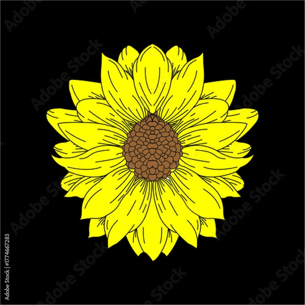 Obraz wonderful sun flower design vector