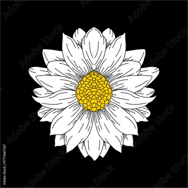 Obraz wonderful sun flower design vector