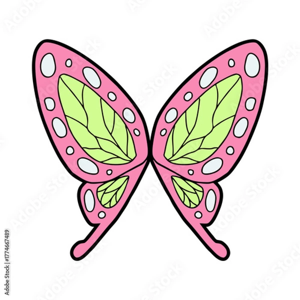 Obraz wonderful butterfly design  vector