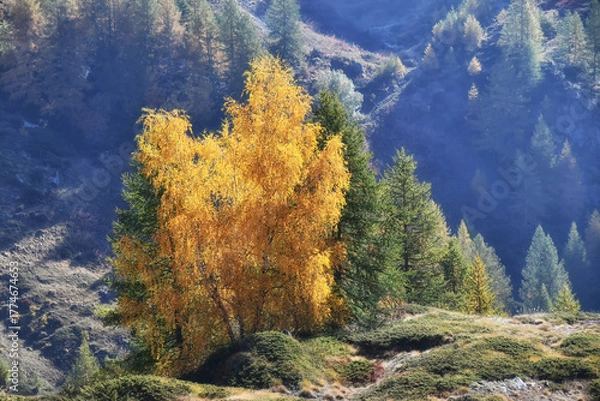 Fototapeta Paesaggio autunnale montano con foreste colorate e alte vette tra le nuvole