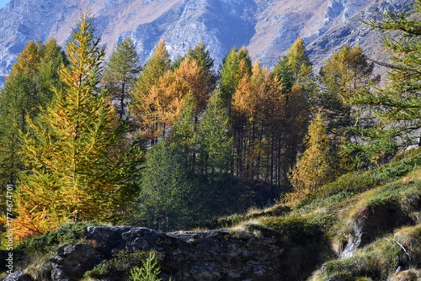 Fototapeta Paesaggio autunnale montano con foreste colorate e alte vette tra le nuvole