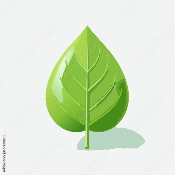 Obraz Single green leaf illustration on white background for graphic design