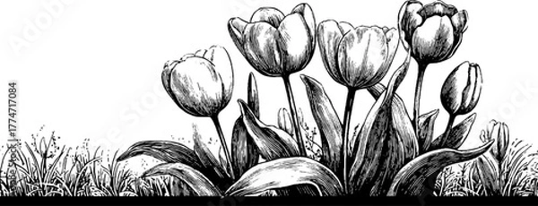 Fototapeta Spring floral border with tulips for greeting card design