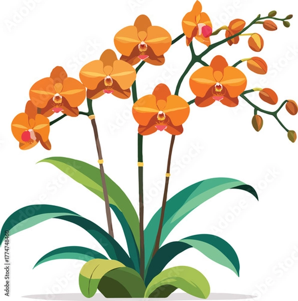 Obraz flat vector Orange orchid clipart