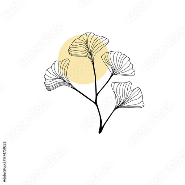 Obraz vector illustration of gingko leaf