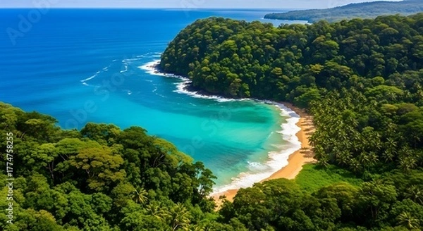 Fototapeta Paradise Coastline: An aerial perspective of a breathtaking coastal scene, where verdant rainforest embraces a pristine sandy beach, meeting the vibrant turquoise sea.