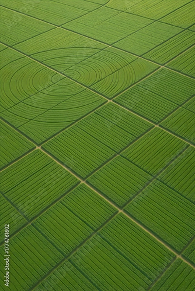 Fototapeta Aerial photograph of green agricultural fields with geometric patterns and irrigation circles.