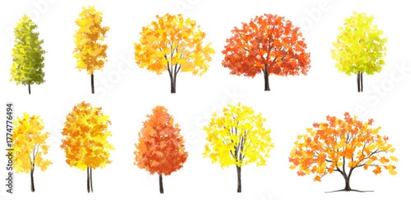 Fototapeta Vector watercolor illustration of a blooming flower tree or forest side view, ginkgo isolated on a white background, suitable for landscape and architecture drawing. The illustration includes elements