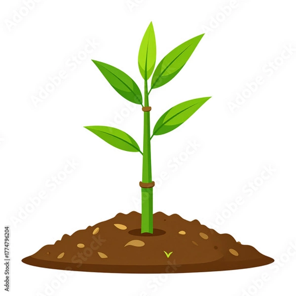 Fototapeta Vector PNG of an animated, bold-colored OK sticker with shine, perfect for social media, messaging, and branding to communicate approval and positivity with maximum visibility