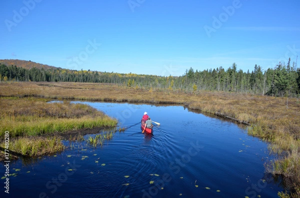 Fototapeta Beautiful sceneries when hiking Algonquin Provincial Park