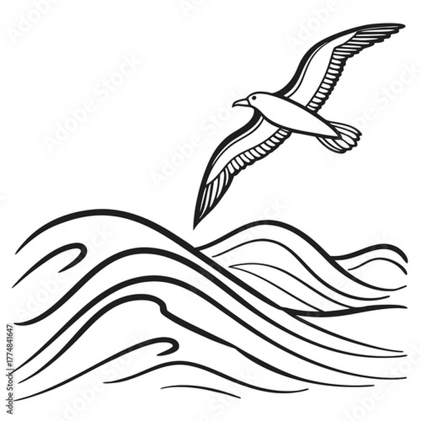 Fototapeta silhouette of a bird flying with wings, Vector illustrations, Vector line art design