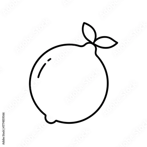Fototapeta Simple outline drawing of a lemon fruit silhouette