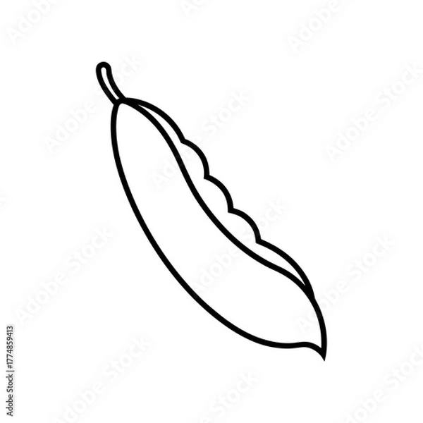 Fototapeta Simple outline drawing of a pea pod icon silhouette