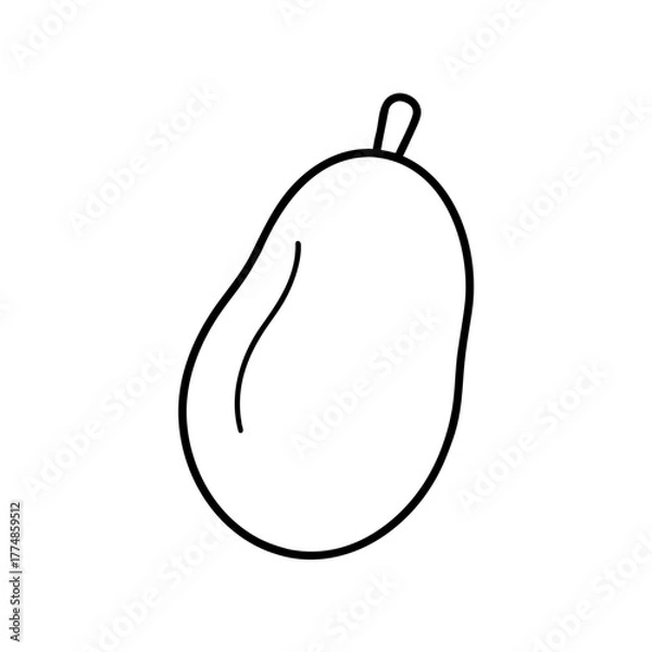 Fototapeta Simple outline drawing of a single mango silhouette