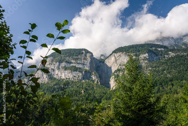 Obraz Majestic Swiss Alps mountain landscape with green forest and clouds