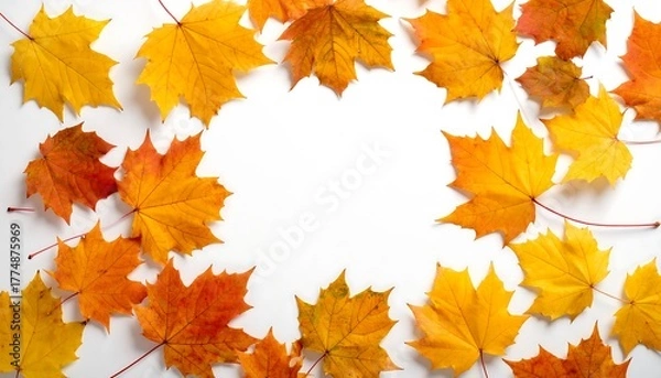 Fototapeta Autumn leaves frame on white background, vibrant fall colors.