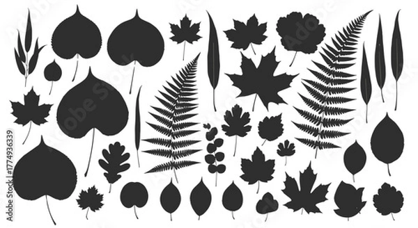 Fototapeta Collection of diverse leaf silhouettes, showcasing a variety of shapes, sizes, and textures, including maple, fern, and willow leaves, presented on a black background for graphic design and natural