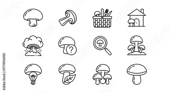 Fototapeta A collection of 16 unique mushroom-related line icons, presented as outline signs perfect for graphic and web design, app interfaces, advertisements, and various card designs, rendered as a vector